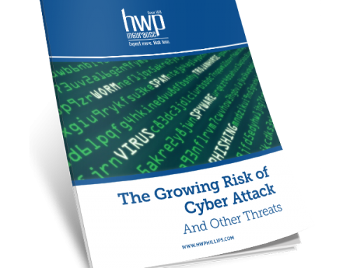 The Growing Risk of Cyber Attack and Other Threats