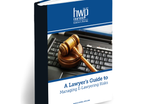 Lawyer's Guide to Managing E-Lawyering Risks